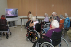 P8050004