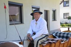 Wacław Cetera i jego kucyki